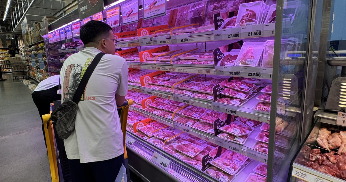 Giá heo hơi hôm nay 15.12.2025: Bật tăng, chạm mức 64.000 đồng/kg