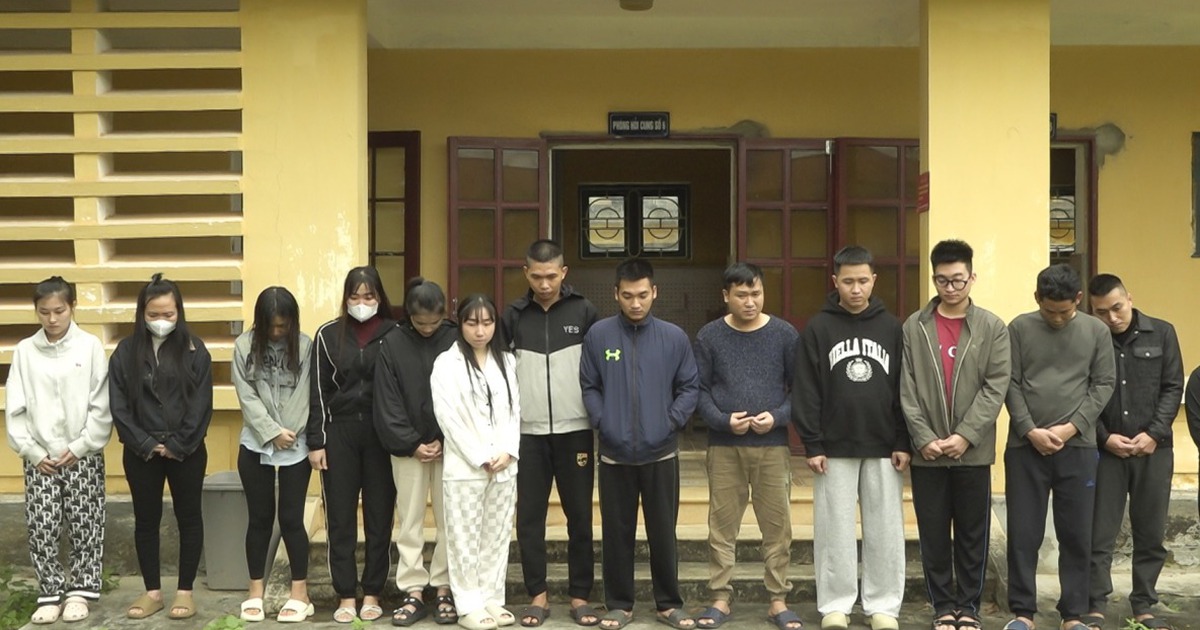 Lừa đảo nạn nhân của lừa đảo, nhóm luật sư "dỏm" chiếm đoạt gần 1.000 tỉ đồng