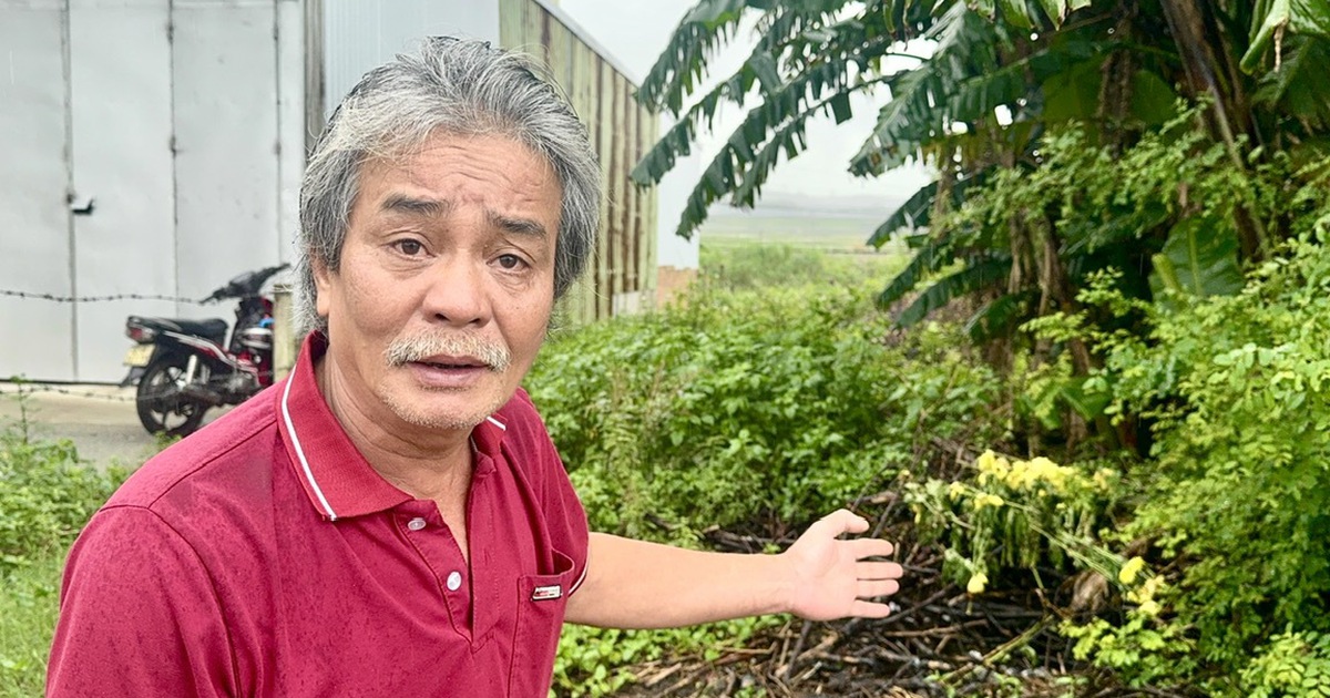 Vụ tr&uacute;ng đấu gi&aacute; nhưng 18 năm kh&ocirc;ng thấy đất: T&igrave;m hướng giải quyết