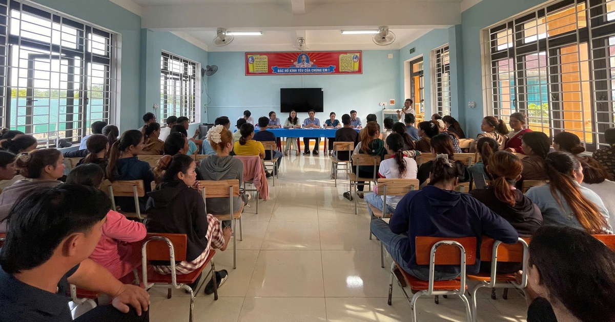 Vụ học sinh ngộ độc: Trường không nộp phạt được, trách nhiệm pháp lý ra sao?