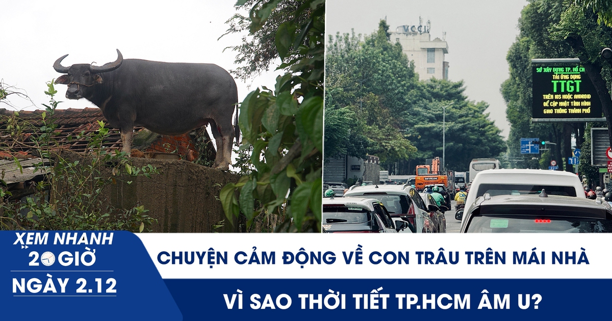 Xem nhanh 20h ngày 2.12: Chuyện cảm động về con trâu mắc kẹt trên mái nhà | Vì sao thời tiết TP.HCM âm u?