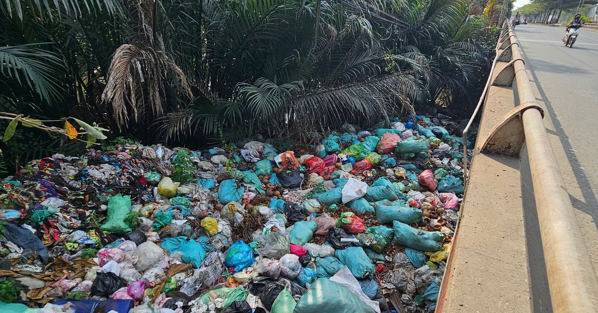 Dân bức xúc vì rác thải hôi thối 'bủa vây' cầu Ông Bé, TP.HCM