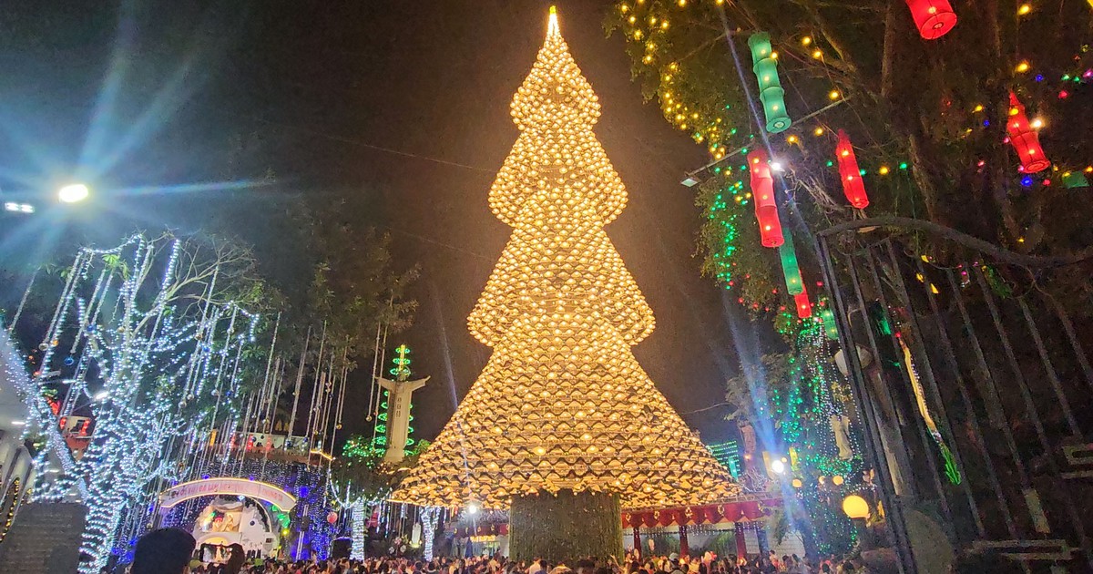 Cây thông nón lá ở Đồng Nai sáng đèn, mỗi đêm đón hàng ngàn người chiêm ngưỡng
