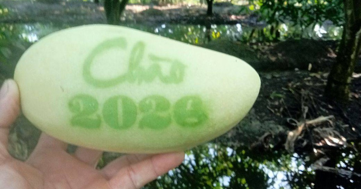 Trái cây tạo hình Tết Bính Ngọ: Nhà vườn miền Tây chăm chút từng sản phẩm