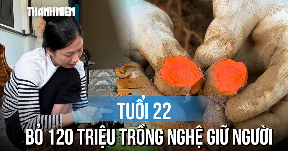 Bỏ phố về quê, cô gái trẻ dành 120 triệu đồng biến núi đá thành vựa nghệ