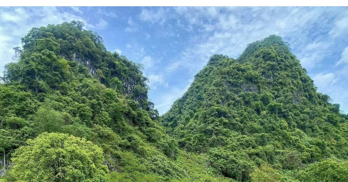 Hoàng Đình Kinh - thủ lĩnh Tày kiên cường