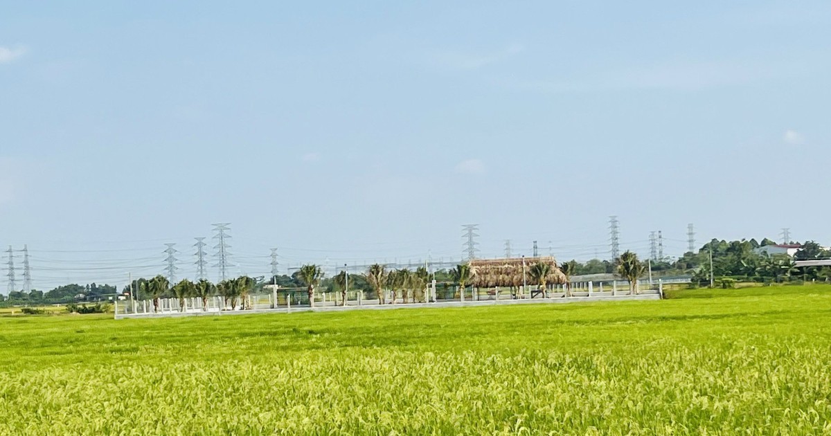 Đưa khuyến nông về cấp xã