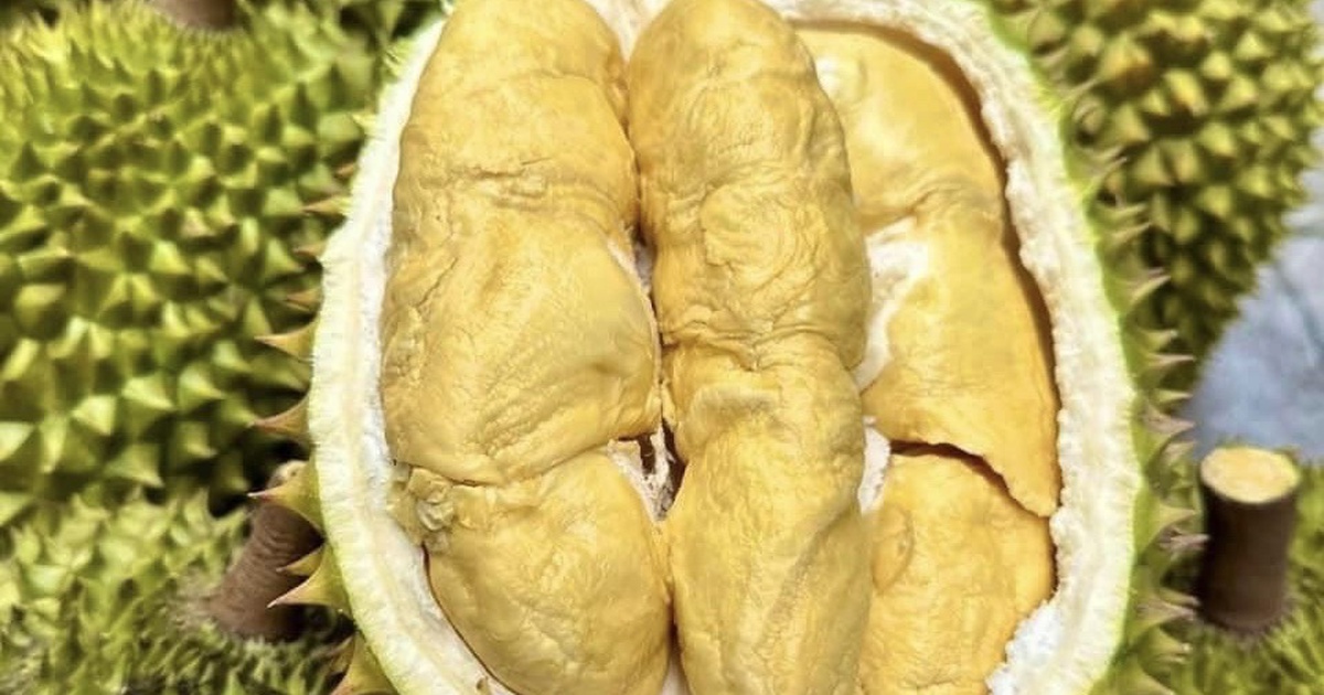 Tăng 200% xuất khẩu sầu riêng lập kỷ lục chưa từng có