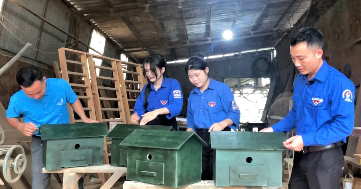 Những 'ngôi nhà pin' ở xã Kỳ Hoa