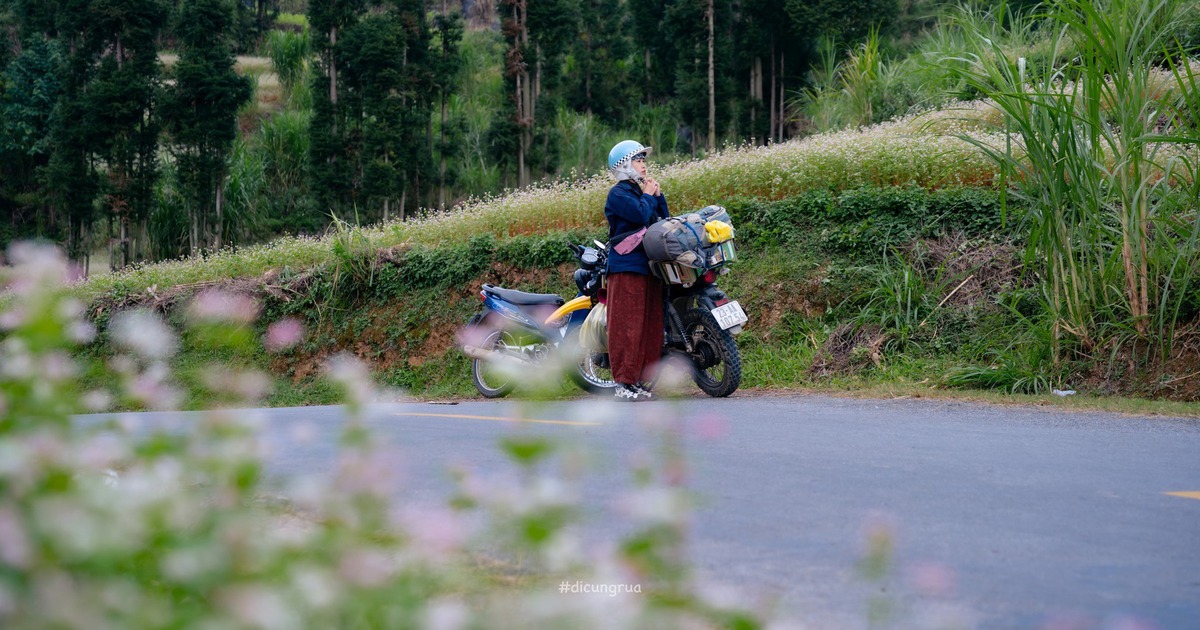 Từ đảo ngọc đến cao nguyên đá, câu chuyện mùa lễ hội cuối năm thú vị