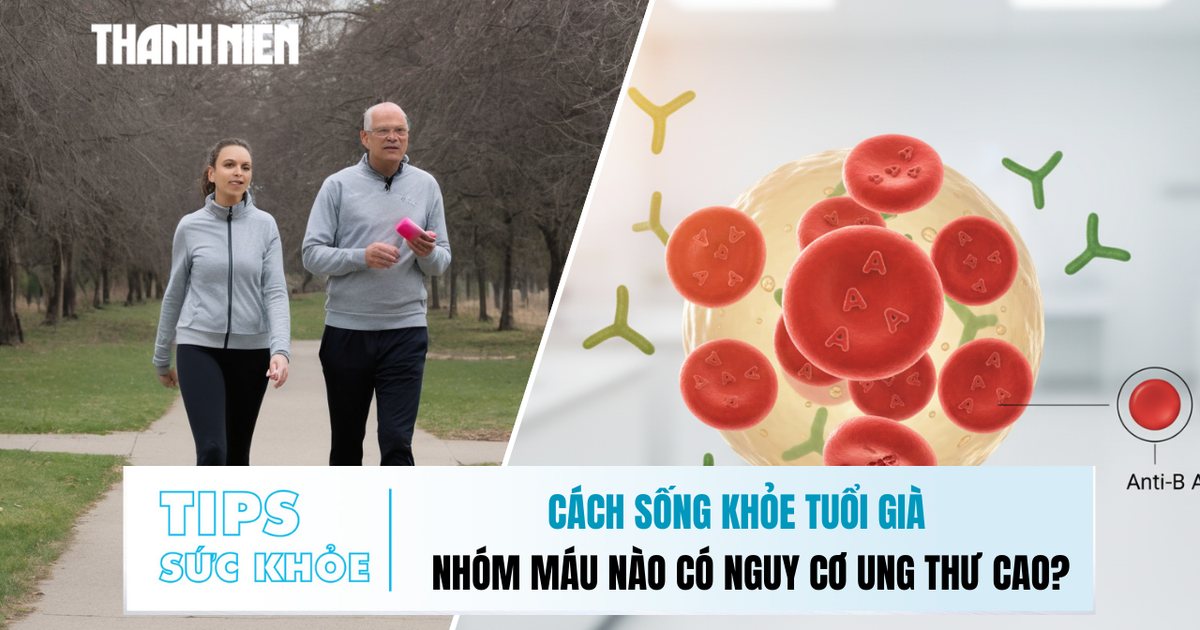Bản tin sức khỏe ngày 8.12: Cách sống khỏe tuổi già | Nhóm máu nào có nguy cơ ung thư cao?