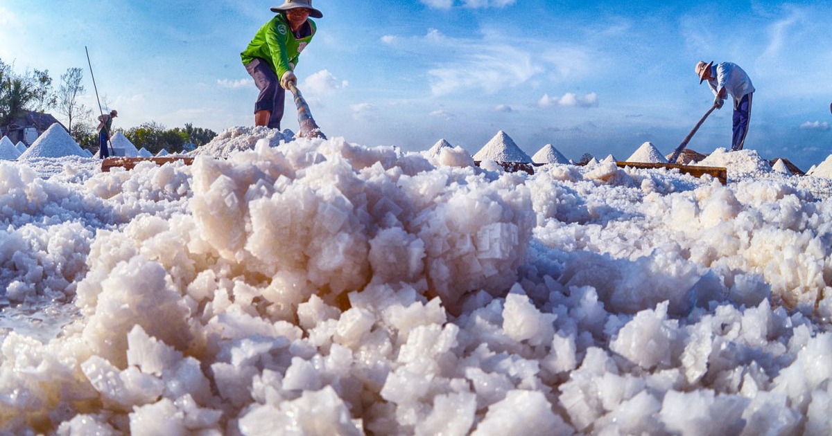 Về Bạc Liêu nghe Festival kể chuyện nghề muối