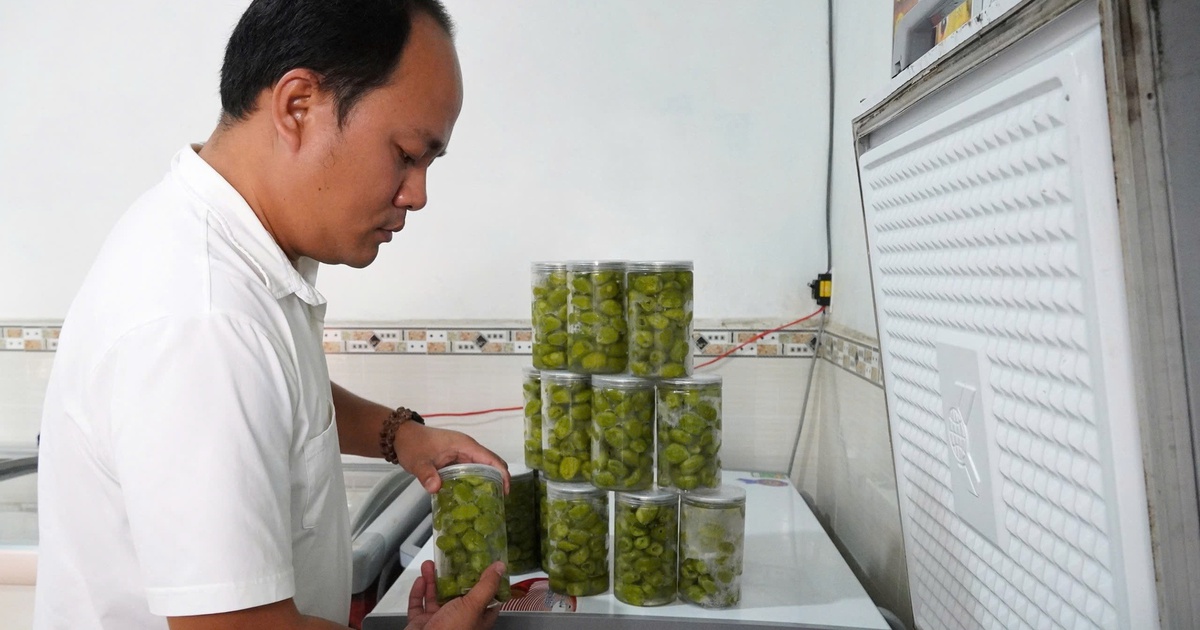 Thu lãi hơn 1 tỉ đồng/năm từ cà na tách hạt