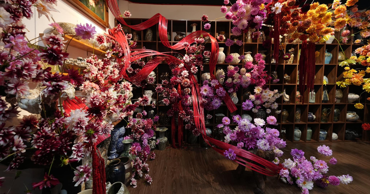 Người phụ nữ mua 5.000 bông thược dược cắm khắp phòng, dân mạng mê mẩn