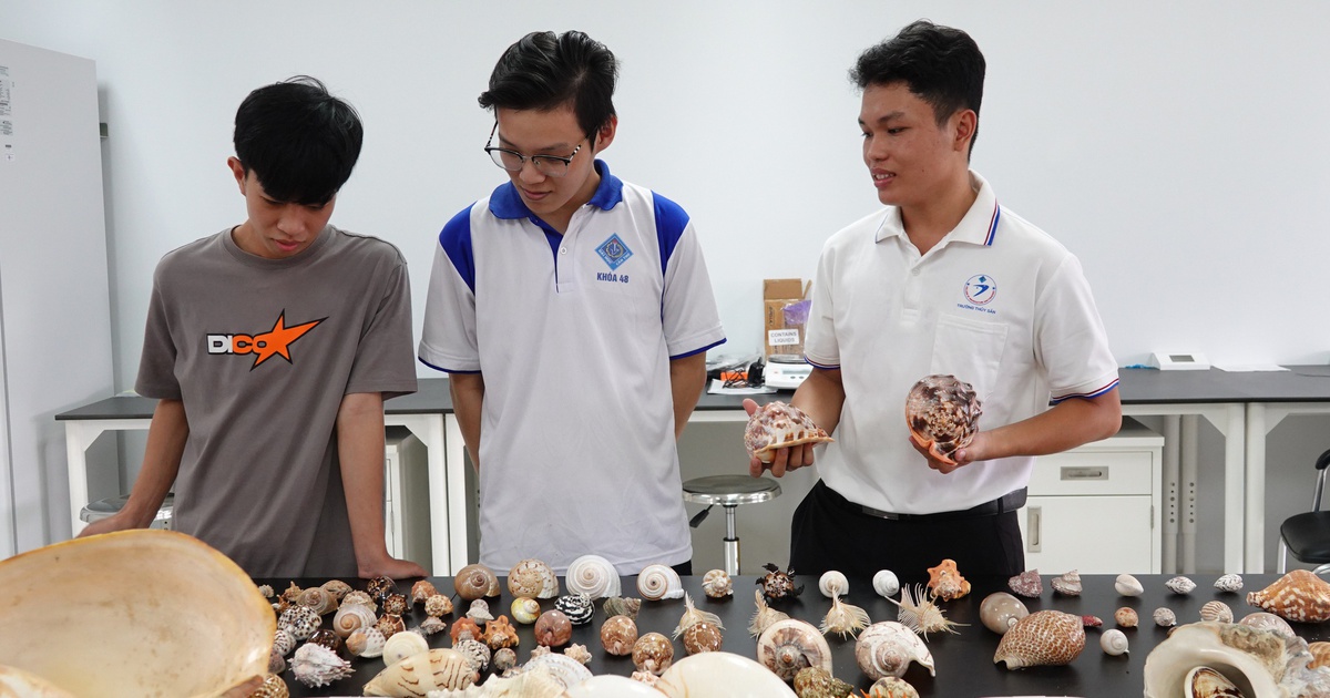 Bộ sưu tập hơn 100 loài ốc biển độc đáo của chàng sinh viên miền Tây