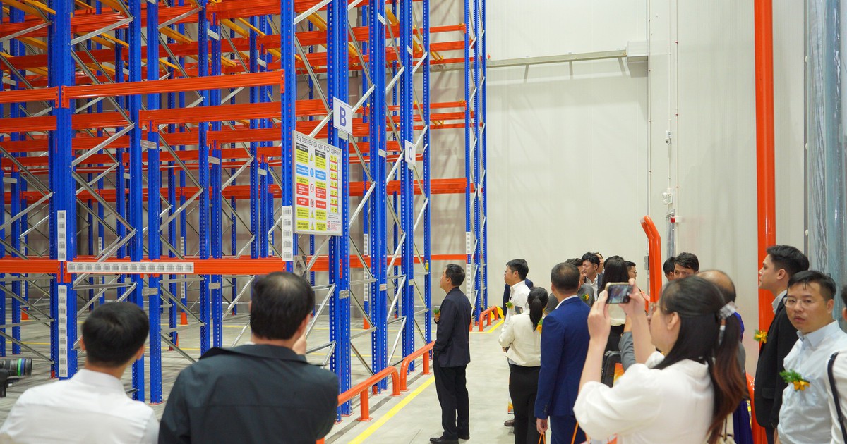 Đà Nẵng khuyến khích phát triển trung tâm logistics phục vụ Khu thương mại tự do