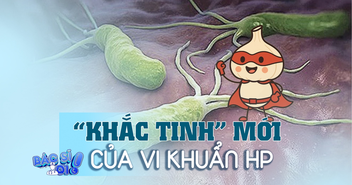 Hiệu quả bất ngờ từ tỏi: 'Khắc tinh' mới của vi khuẩn gây ung thư Hp