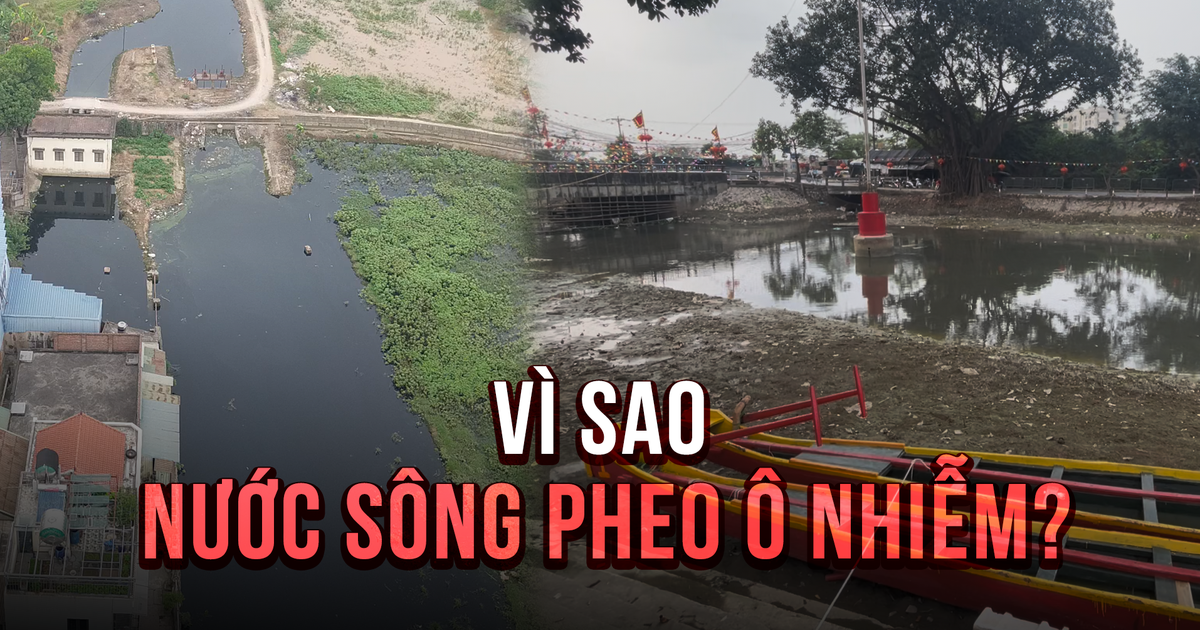 Cận cảnh nước sông Pheo đổi màu, ô nhiễm dù đã bổ cập nước sông Hồng