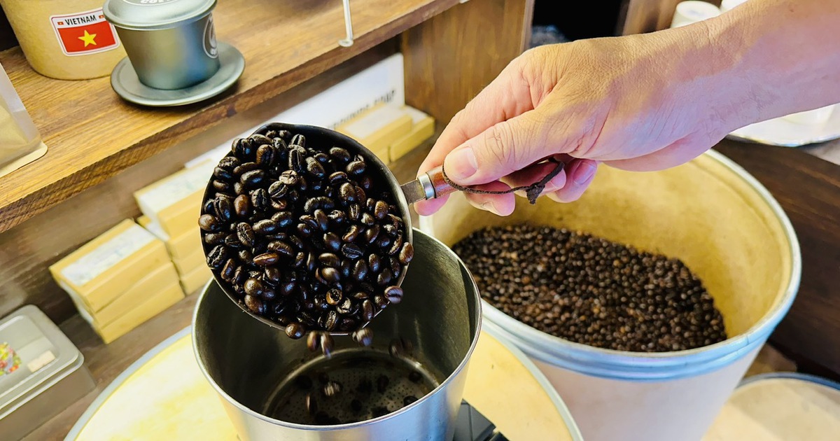 Giá cà phê cao kỷ lục, xuất khẩu vượt 1 tỉ USD chỉ trong 1 tháng