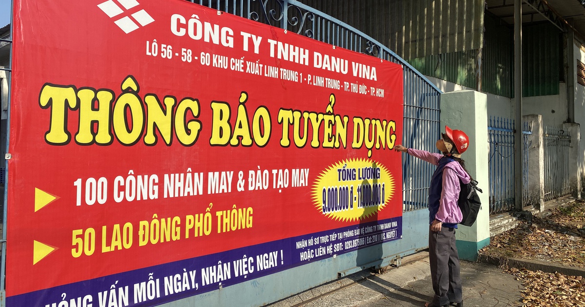 Tình hình lao động – việc làm: Doanh nghiệp TP.HCM ‘khát’ lao động phổ thông