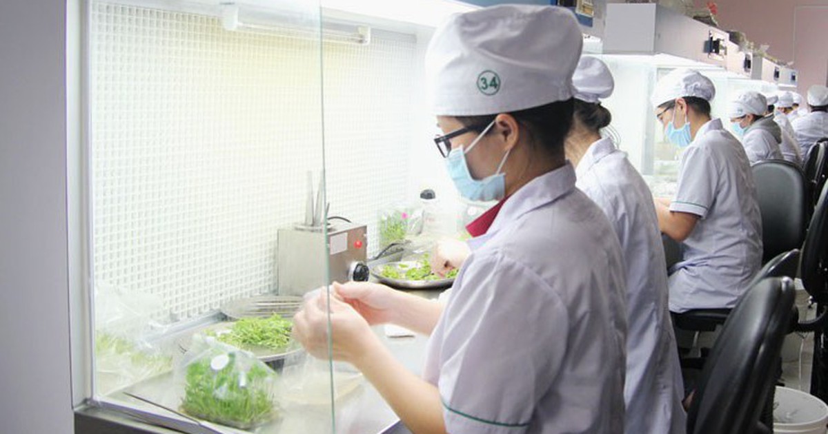 Đưa nghiên cứu sinh lý thực vật vào thực tiễn cuộc sống