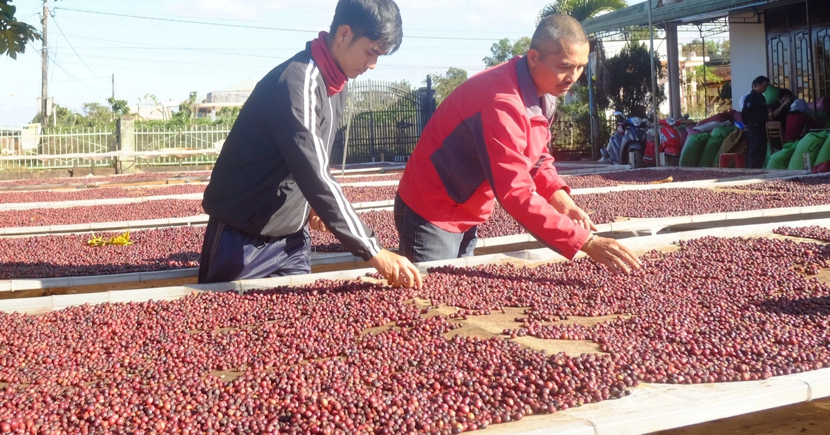 'Bơm' 100.000 tỉ đồng tín dụng ưu đãi cho nông, lâm, thủy sản