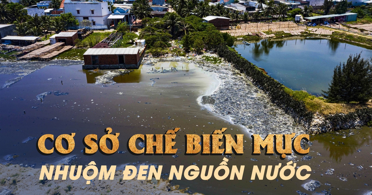 Bình Định: Người dân kêu trời vì hàng chục cơ sở chế biến mực gây ô nhiễm