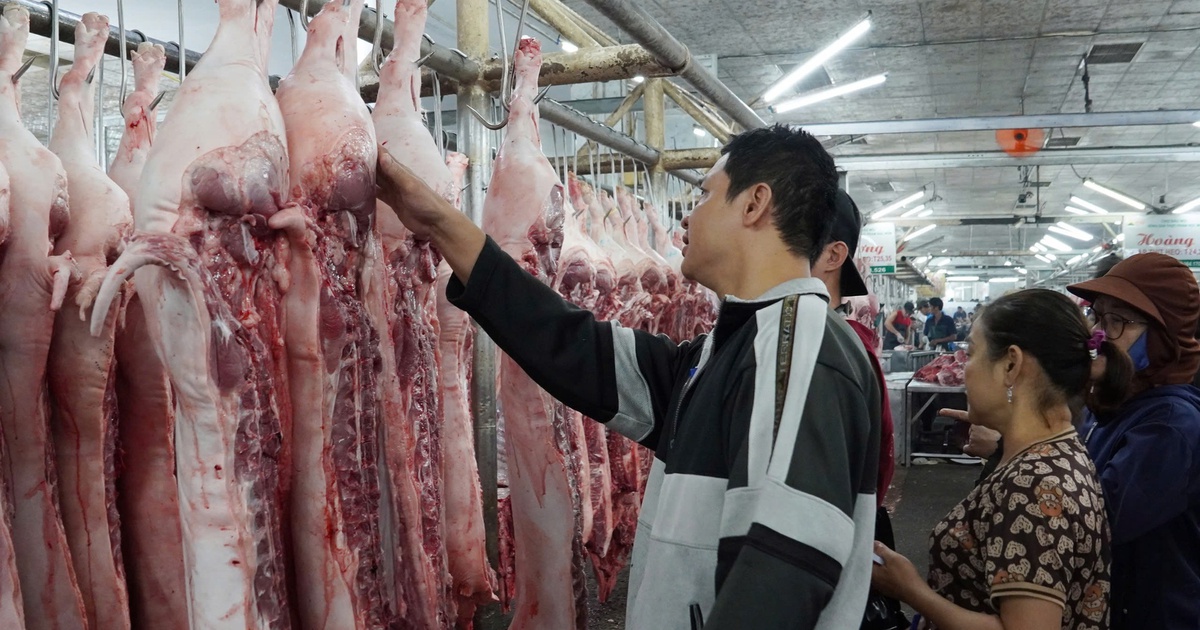 Giá heo hơi hôm nay 17.4.2025: 'Thủ phủ' chăn nuôi lên mức cao nhất
