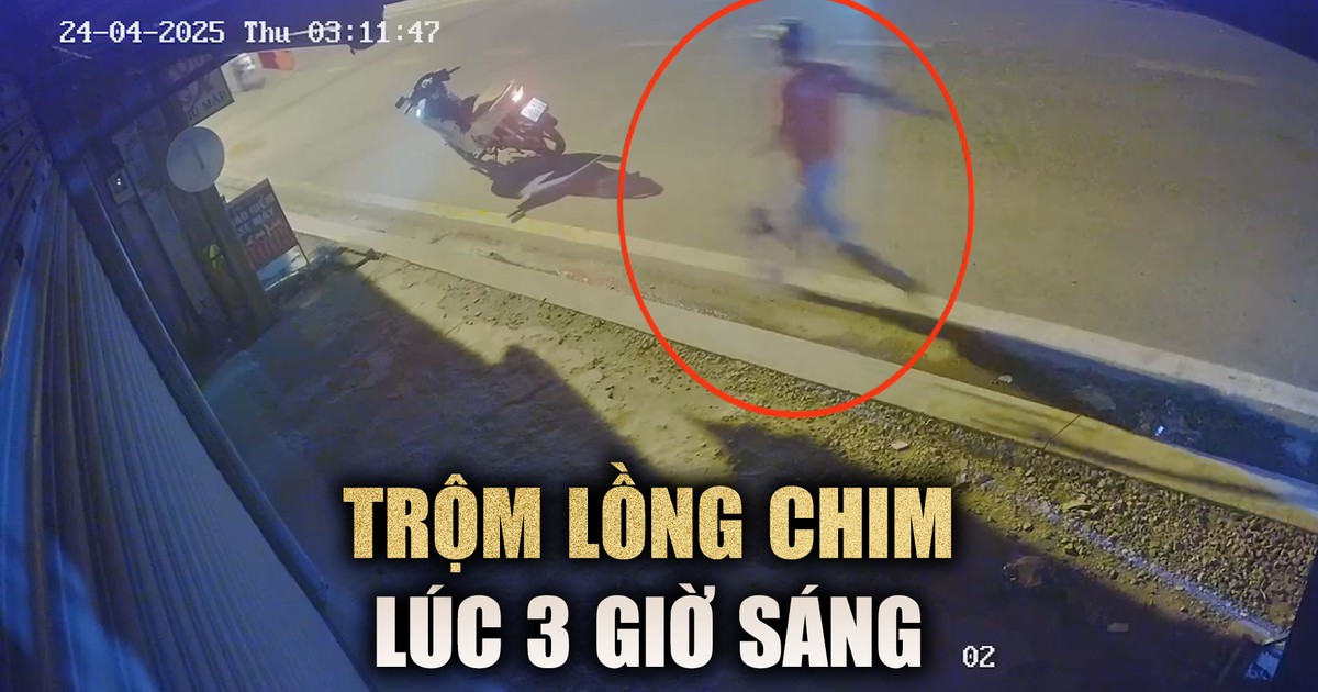 Đuổi bắt trộm lồng chim lúc 3 giờ sáng, chủ nhà bị té 'bầm dập'