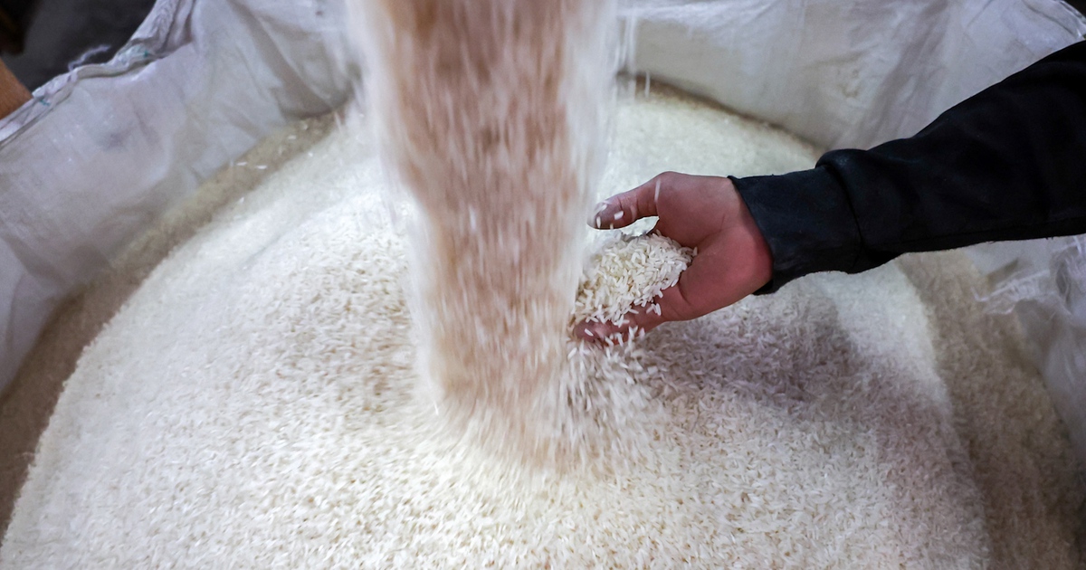 Người trồng lúa Thái Lan lo ‘khó sống sót’ vì thuế quan của ông Trump