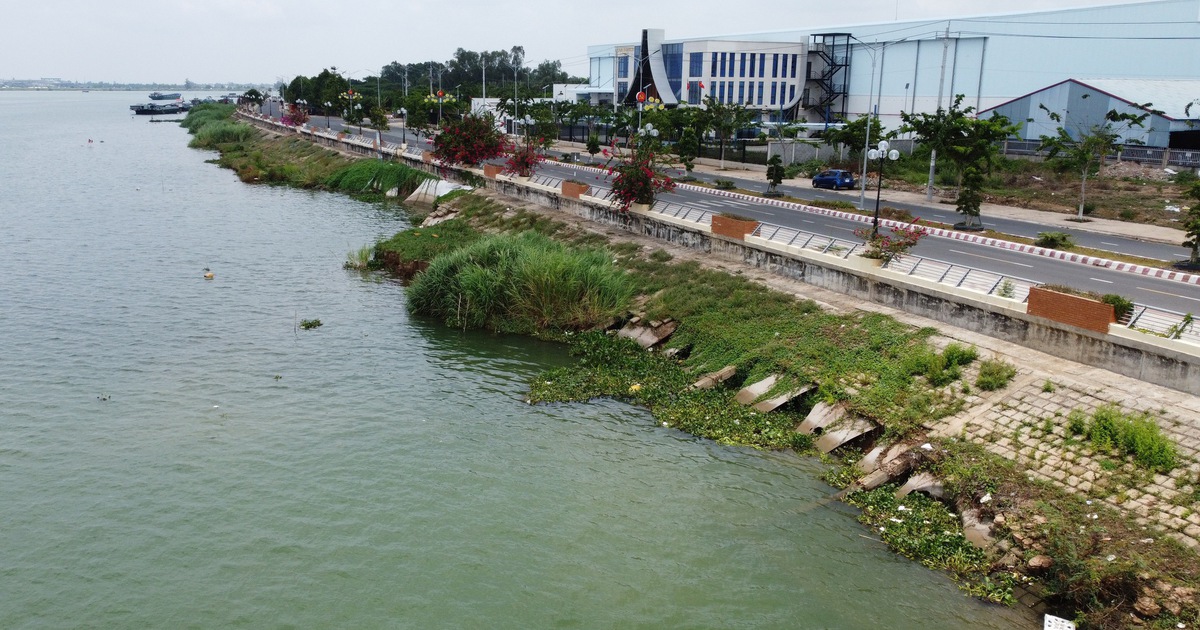 Sạt lở bờ kè sông Tiền