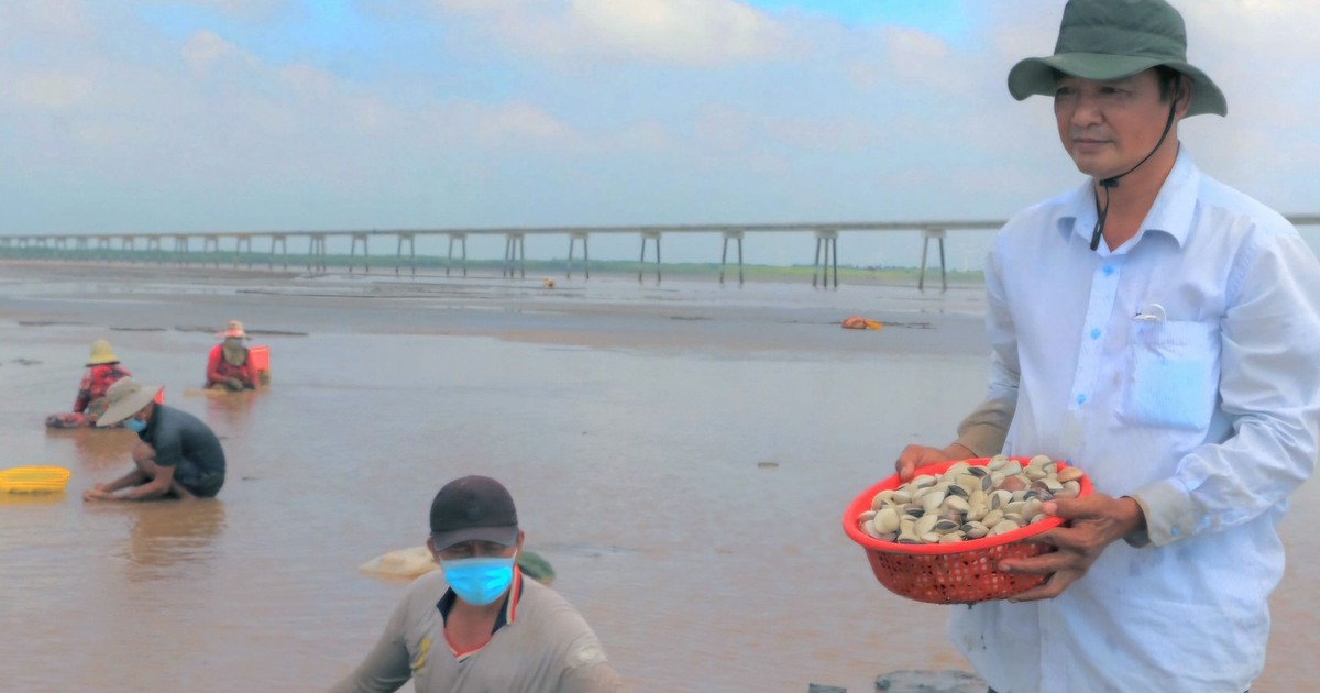“Ông bụt” của người nghèo ven biển