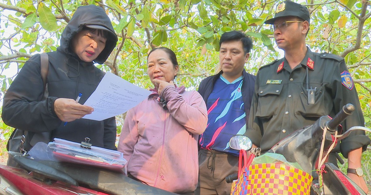 Thu hồi đất tại một dự án nông lâm nghiệp bị lấn chiếm gần 1.000 ha