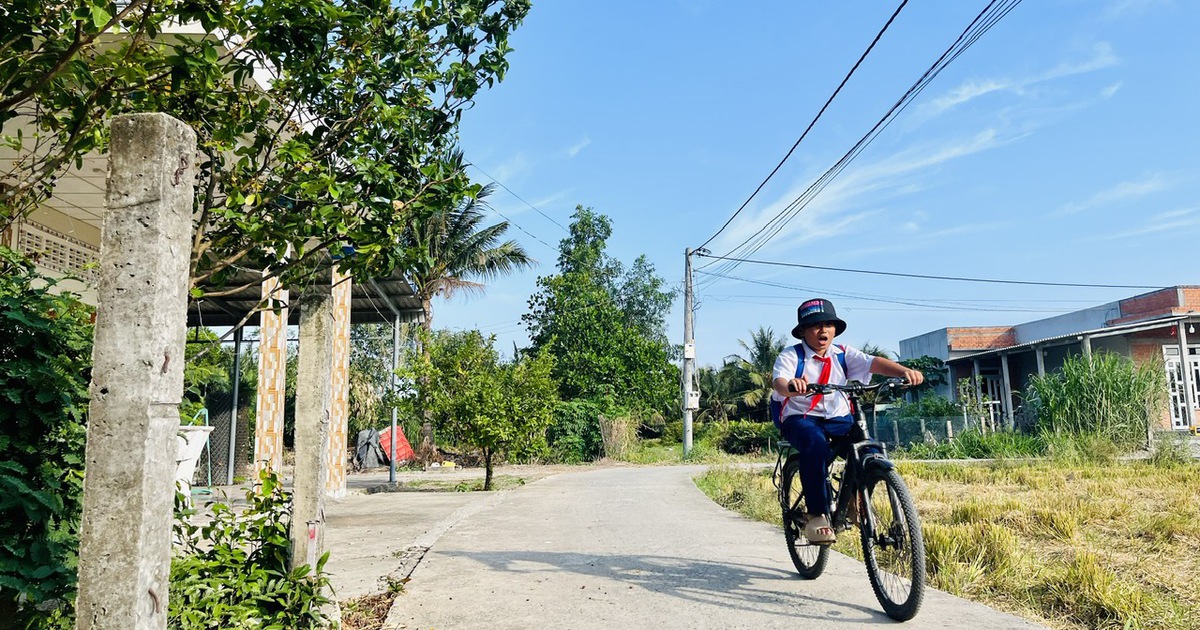 Điện về nhịp sống reo vui