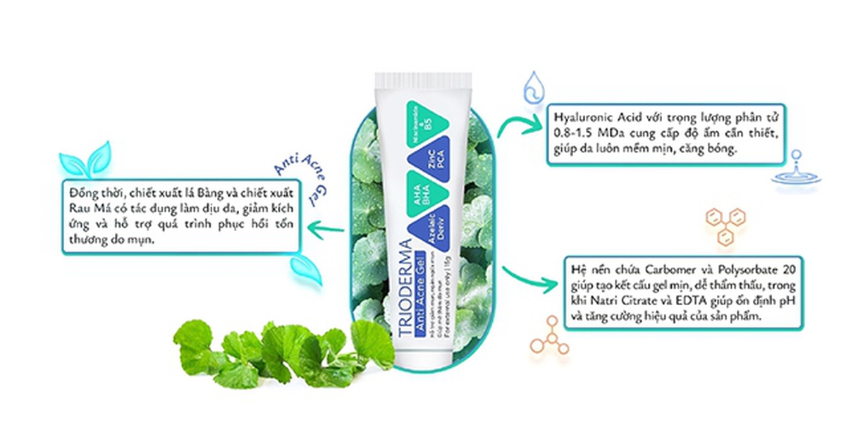 Chiết xuất lá bàng và rau má - Bộ đôi ‘dược liệu bản địa’ đang gây sốt