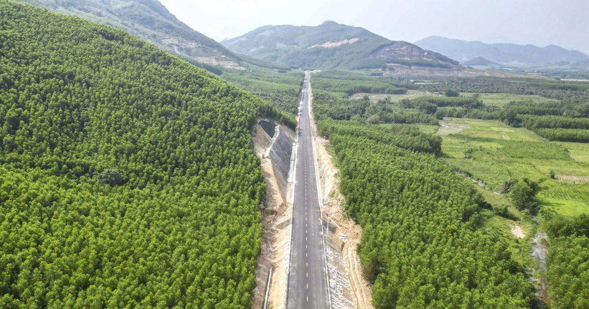 Bình Định làm đường ngàn tỉ kết nối đô thị khoa học và trung tâm AI