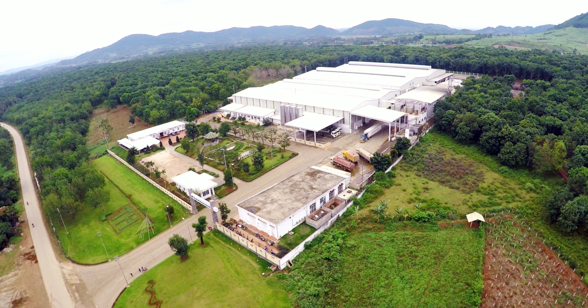 Tiết lộ 'chìa khóa' 2 công ty chủ lực của TH đạt chứng nhận trung hòa carbon