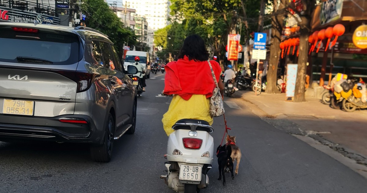 Người phụ nữ đi xe máy không đội mũ bảo hiểm, dắt theo chó trên phố Nha Trang gây bức xúc