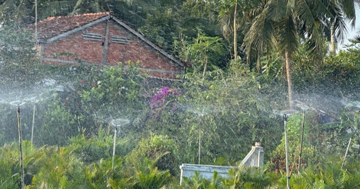 Quê tôi trù phú, giàu lên nhờ có điện
