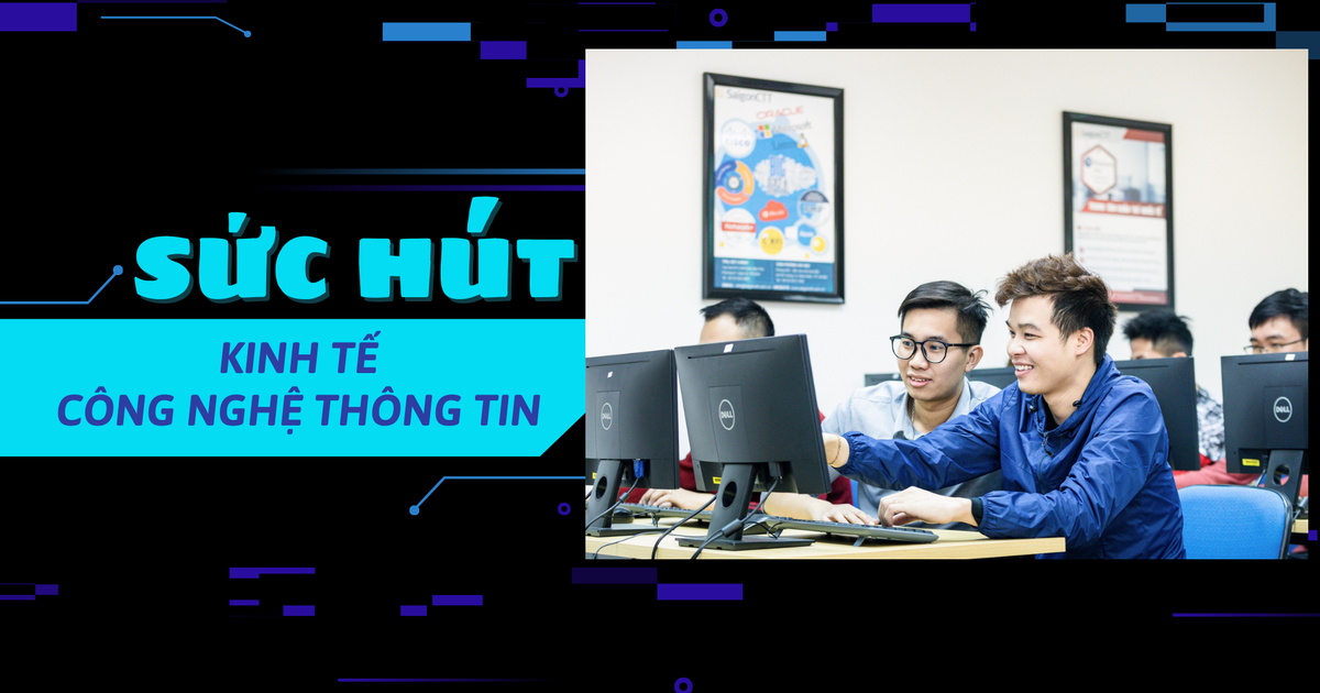 Sức hút của khối ngành kinh tế, công nghệ thông tin: ‘Làm việc tại nhà, lương tính bằng đô’