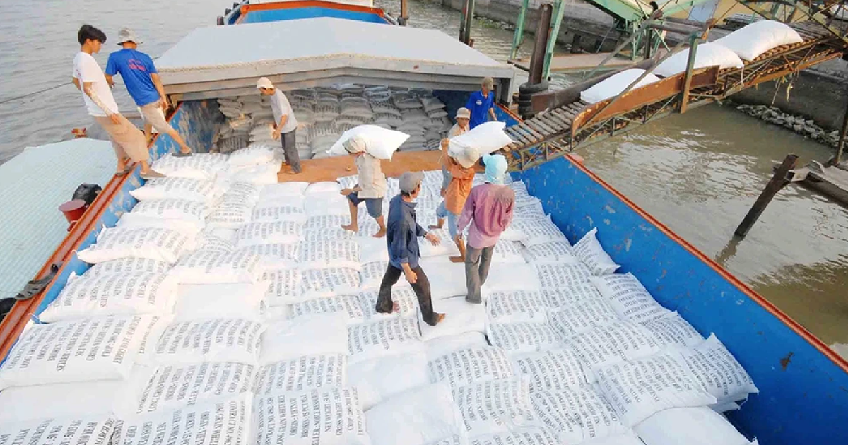 Gạo Việt có lợi thế vào thị trường Mỹ