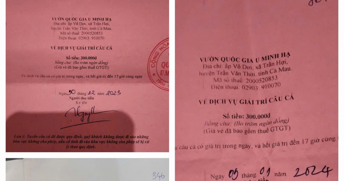 Vụ Vườn quốc gia U Minh Hạ in vé câu cá: Báo cáo Tỉnh ủy Cà Mau