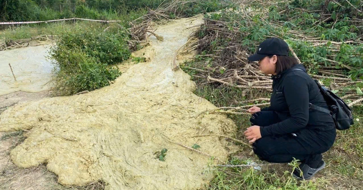 Hiện tượng lạ ở Phú Yên: Lại trào bùn nước sau 46 năm