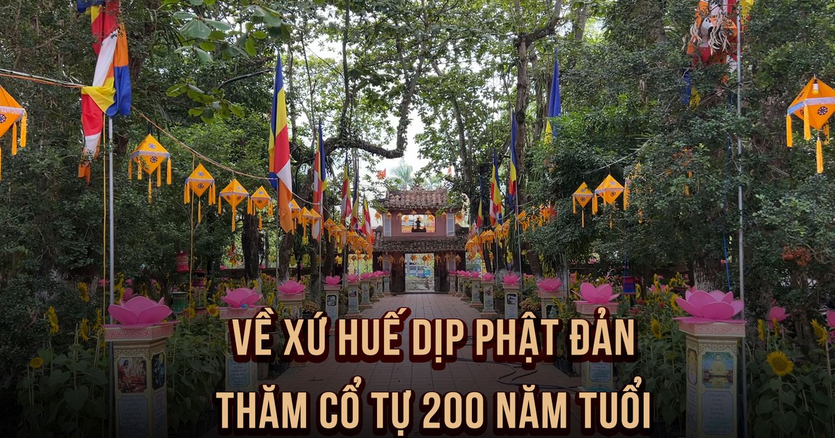 Vẻ đẹp cổ kính của chùa Diệu Đế - cổ tự 200 năm tuổi xứ Huế