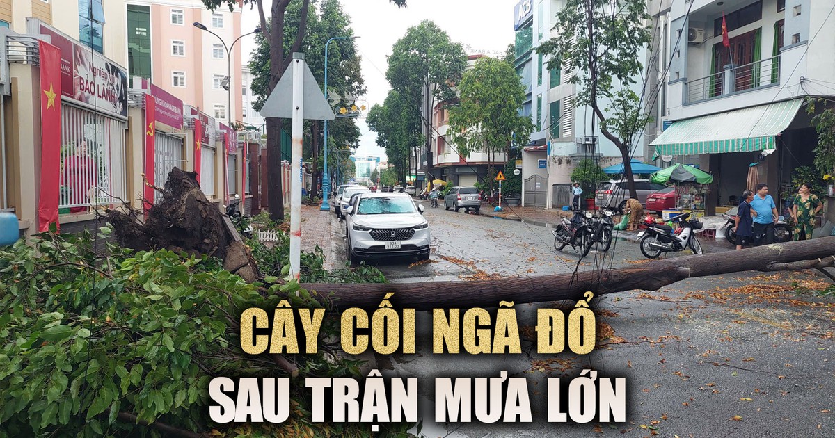 Long An: TP.Tân An ngập sâu, cây cối ngã đổ do mưa lớn