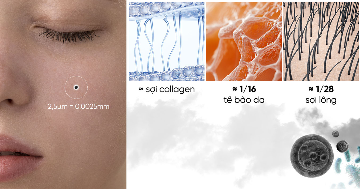 Da bị stress vì ô nhiễm không khí - cần phục hồi như thế nào?