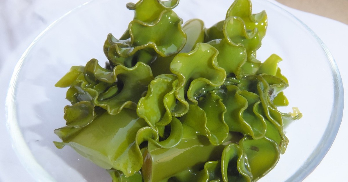 Tảo nâu Mekabu - 'kho báu' thiên nhiên cho sức khỏe