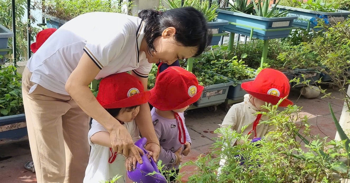 Thu nhập chưa tương xứng, giáo viên mầm non bỏ việc chiếm tỷ lệ cao