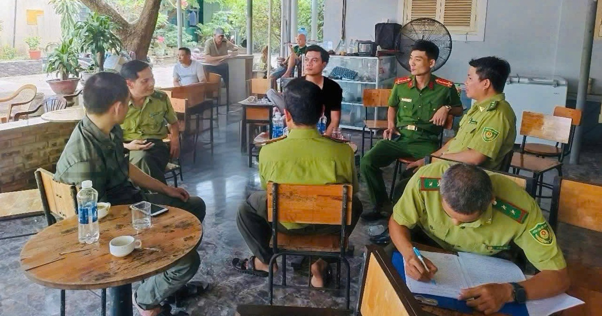 Vì sao mang chim đến quán cà phê phải chứng minh nguồn gốc hợp pháp?