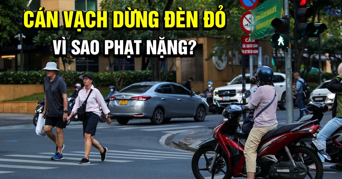 Lỡ dừng đèn đỏ cán vạch, tài xế vội lùi lại vì sợ bị phạt nặng như vượt đèn đỏ